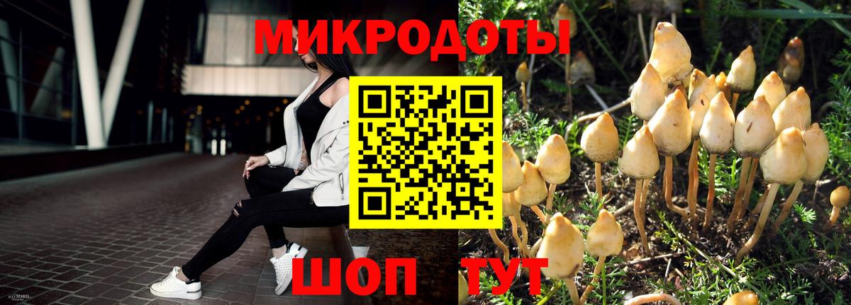 продажа наркотиков  Галлюциногенные грибы мицелий  Вход с VPN  Новокуйбышевск 