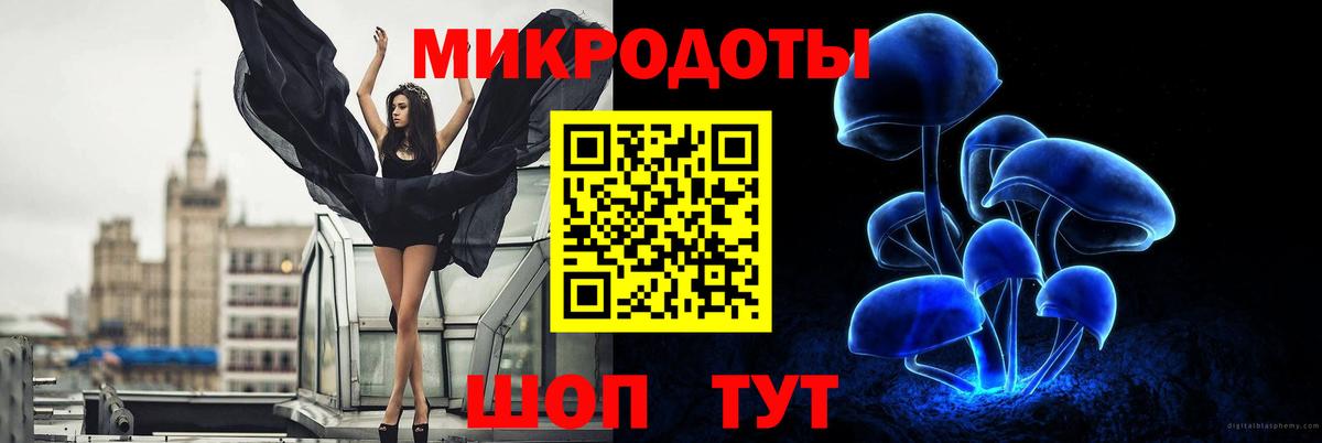 Псилоцибиновые грибы Psilocybine cubensis Новокуйбышевск